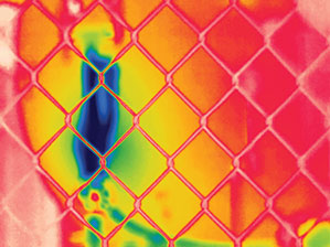 Autofocus image focused on fence