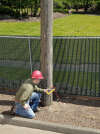 gallery_p113660_5.JPG