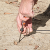 gallery_p4661_6.png