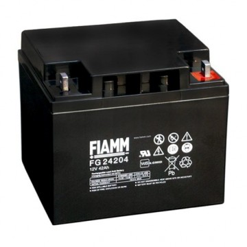 FIAMM FG 24204 - батарея аккумуляторная серии FG (12 В, 42 Ач, 196х163х174 мм, 13,8 кг)